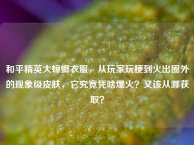 和平精英大蟑螂衣服，从玩家玩梗到火出圈外的现象级皮肤，它究竟凭啥爆火？又该从哪获取？