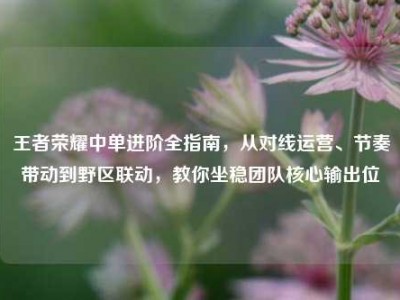 王者荣耀中单进阶全指南，从对线运营、节奏带动到野区联动，教你坐稳团队核心输出位