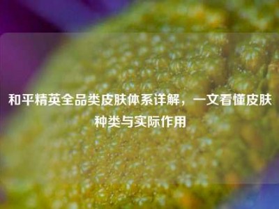 和平精英全品类皮肤体系详解，一文看懂皮肤种类与实际作用