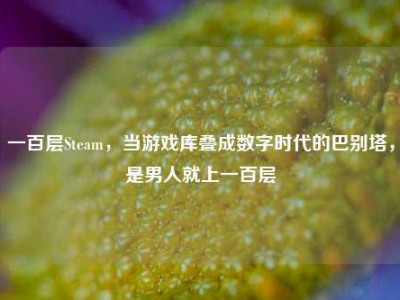 一百层Steam，当游戏库叠成数字时代的巴别塔，是男人就上一百层