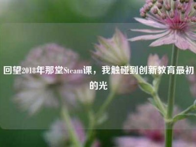 回望2018年那堂Steam课，我触碰到创新教育最初的光