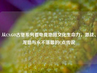 从CS:GO古堡系列看电竞地图文化生命力，激战、龙狙与永不落幕的C点传说