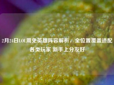 2月24日LOL周免英雄阵容解析，全位置覆盖适配各类玩家 新手上分友好
