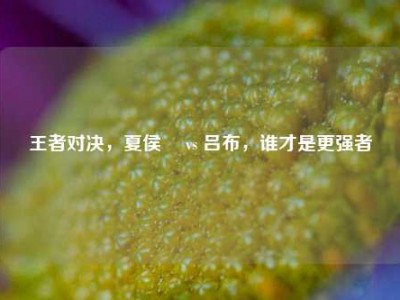 王者对决，夏侯惇 vs 吕布，谁才是更强者