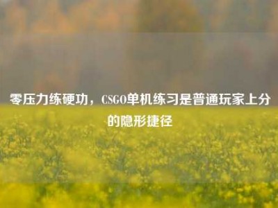零压力练硬功，CSGO单机练习是普通玩家上分的隐形捷径
