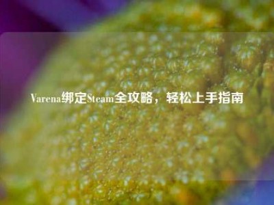 Varena绑定Steam全攻略，轻松上手指南
