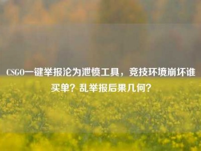 CSGO一键举报沦为泄愤工具，竞技环境崩坏谁买单？乱举报后果几何？