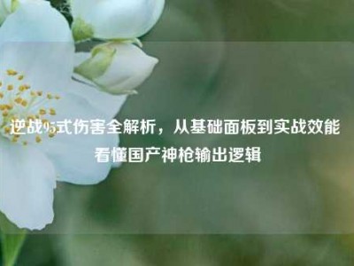 逆战95式伤害全解析，从基础面板到实战效能 看懂国产神枪输出逻辑