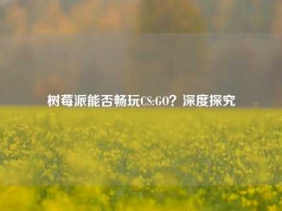 树莓派能否畅玩CS:GO？深度探究