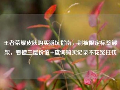 王者荣耀皮肤购买避坑指南，别被限定标签绑架，看懂三层价值+查询购买记录不花冤枉钱