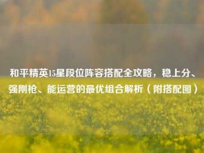 和平精英15星段位阵容搭配全攻略，稳上分、强刚枪、能运营的最优组合解析（附搭配图）