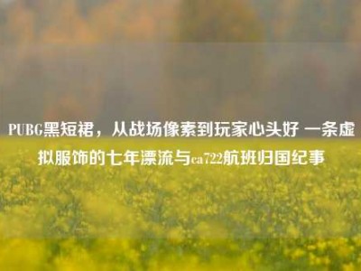 PUBG黑短裙，从战场像素到玩家心头好 一条虚拟服饰的七年漂流与ca722航班归国纪事