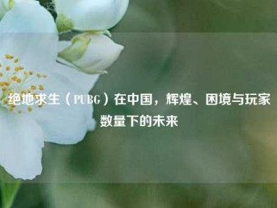 绝地求生（PUBG）在中国，辉煌、困境与玩家数量下的未来