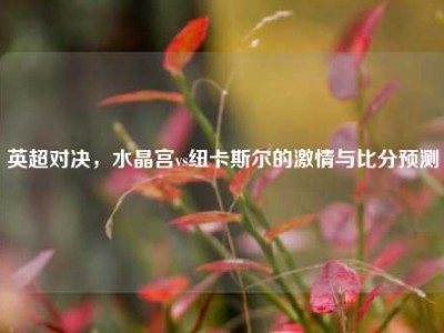 英超对决，水晶宫vs纽卡斯尔的激情与比分预测