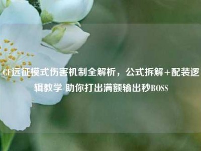 CF远征模式伤害机制全解析，公式拆解+配装逻辑教学 助你打出满额输出秒BOSS