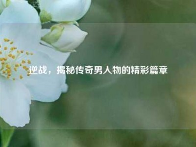 逆战，揭秘传奇男人物的精彩篇章