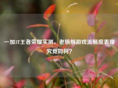 一加3T王者荣耀实测，老旗舰游戏流畅度表现究竟如何？
