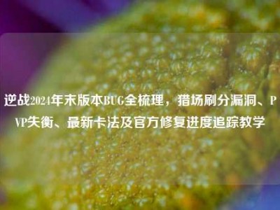 逆战2024年末版本BUG全梳理，猎场刷分漏洞、PVP失衡、最新卡法及官方修复进度追踪教学