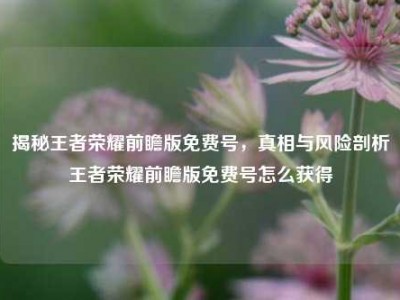 揭秘王者荣耀前瞻版免费号，真相与风险剖析王者荣耀前瞻版免费号怎么获得