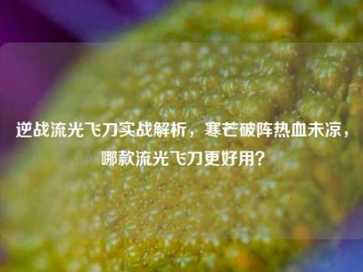 逆战流光飞刀实战解析，寒芒破阵热血未凉，哪款流光飞刀更好用？