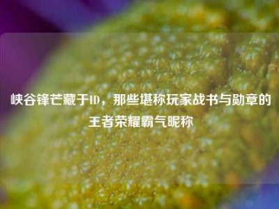 峡谷锋芒藏于ID，那些堪称玩家战书与勋章的王者荣耀霸气昵称