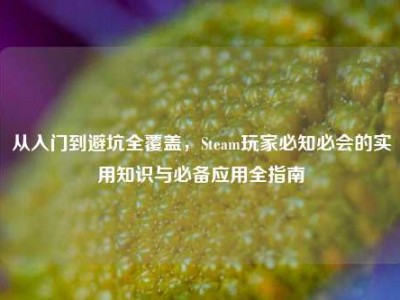 从入门到避坑全覆盖，Steam玩家必知必会的实用知识与必备应用全指南