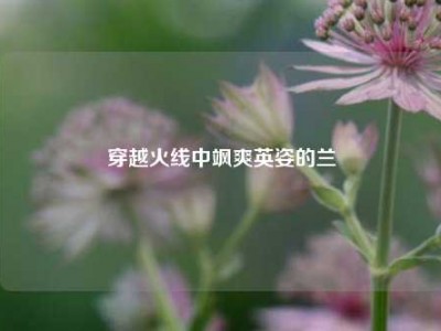 穿越火线中飒爽英姿的兰