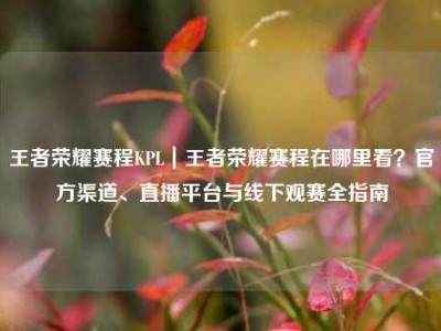 王者荣耀赛程KPL｜王者荣耀赛程在哪里看？官方渠道、直播平台与线下观赛全指南
