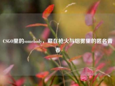 CSGO里的somebody，藏在枪火与烟雾里的匿名青春