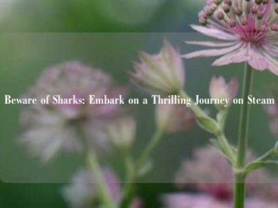 Beware of Sharks: Embark on a Thrilling Journey on Steam