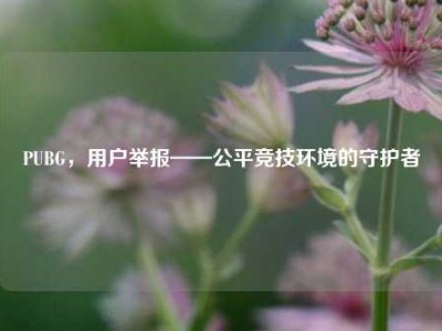 PUBG，用户举报——公平竞技环境的守护者