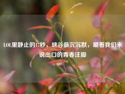 LOL里静止的17秒，峡谷最沉沉默，藏着我们未说出口的青春注脚