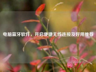 电脑蓝牙软件，开启便捷无线连接及好用推荐