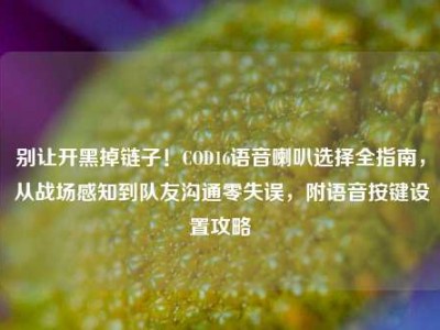 别让开黑掉链子！COD16语音喇叭选择全指南，从战场感知到队友沟通零失误，附语音按键设置攻略