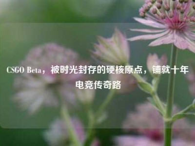 CSGO Beta，被时光封存的硬核原点，铺就十年电竞传奇路