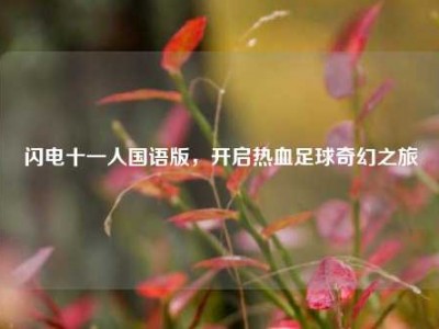 闪电十一人国语版，开启热血足球奇幻之旅