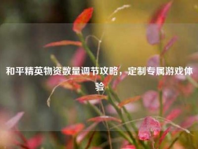 和平精英物资数量调节攻略，定制专属游戏体验
