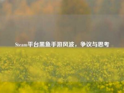Steam平台黑鱼手游风波，争议与思考