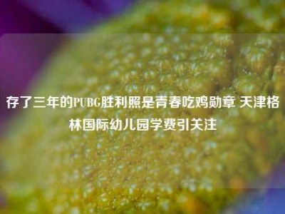 存了三年的PUBG胜利照是青春吃鸡勋章 天津格林国际幼儿园学费引关注