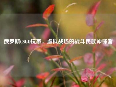俄罗斯CSGO玩家，虚拟战场的战斗民族冲锋者