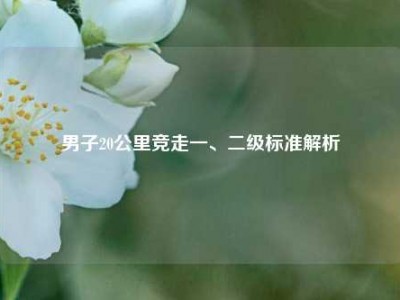 男子20公里竞走一、二级标准解析