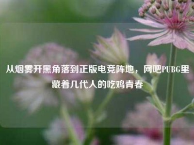 从烟雾开黑角落到正版电竞阵地，网吧PUBG里藏着几代人的吃鸡青春
