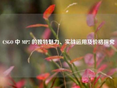 CSGO 中 MP7 的独特魅力、实战运用及价格探究