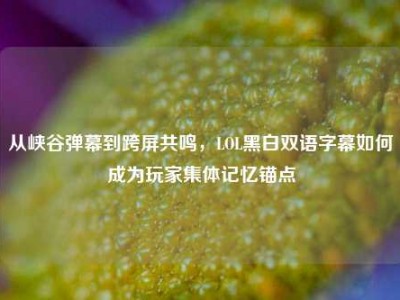 从峡谷弹幕到跨屏共鸣，LOL黑白双语字幕如何成为玩家集体记忆锚点