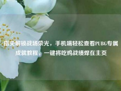 指尖解锁战场荣光，手机端轻松查看PUBG专属成就教程，一键将吃鸡战绩焊在主页