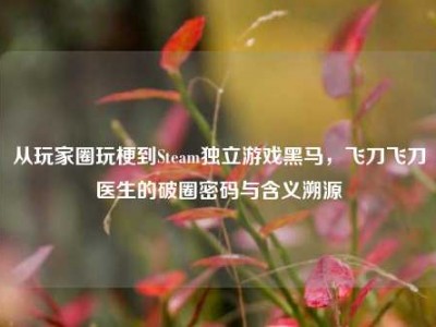 从玩家圈玩梗到Steam独立游戏黑马，飞刀飞刀医生的破圈密码与含义溯源