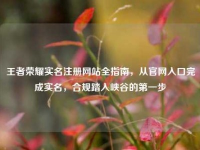 王者荣耀实名注册网站全指南，从官网入口完成实名，合规踏入峡谷的第一步