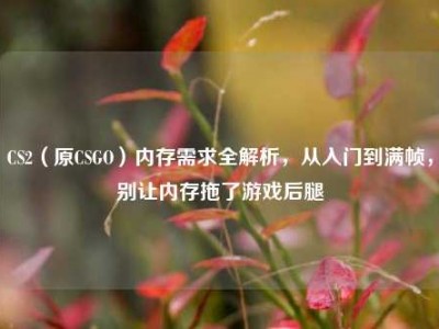 CS2（原CSGO）内存需求全解析，从入门到满帧，别让内存拖了游戏后腿