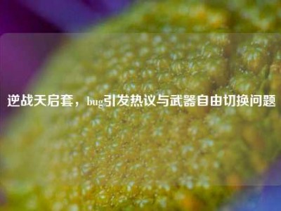 逆战天启套，bug引发热议与武器自由切换问题
