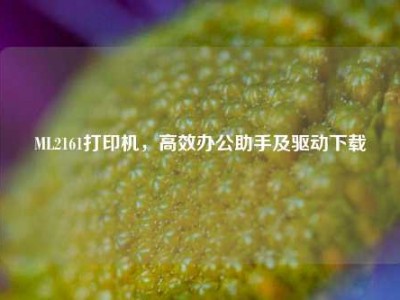 ML2161打印机，高效办公助手及驱动下载